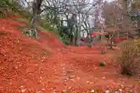 三春大神宮の自然