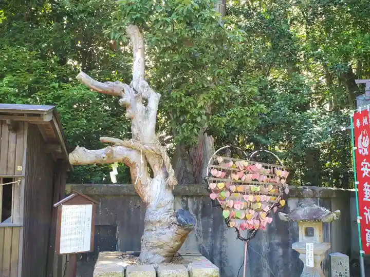 三田天満宮の自然