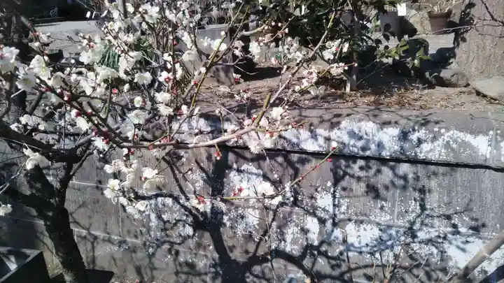 瀬戸神社(神奈川県)