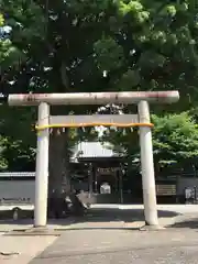 日吉浅間神社の鳥居