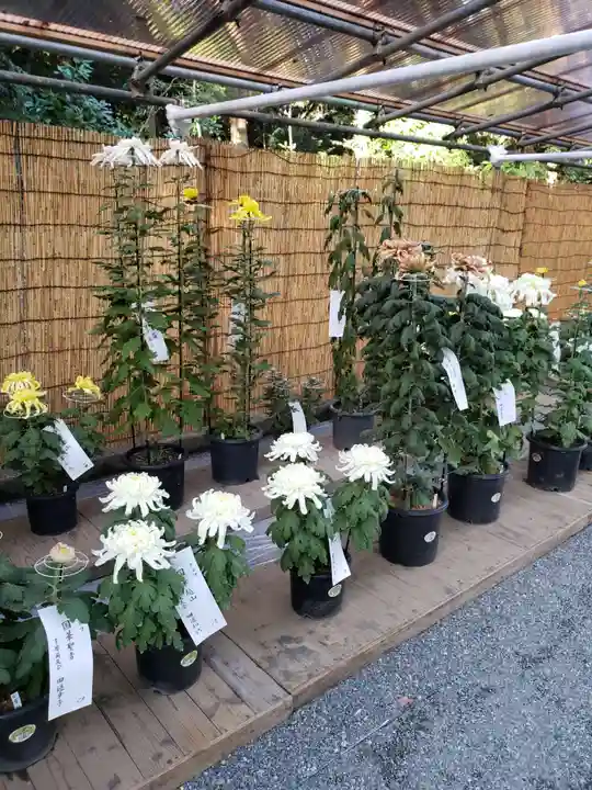 明治神宮の自然