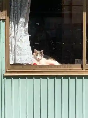 涼ケ岡八幡神社の動物
