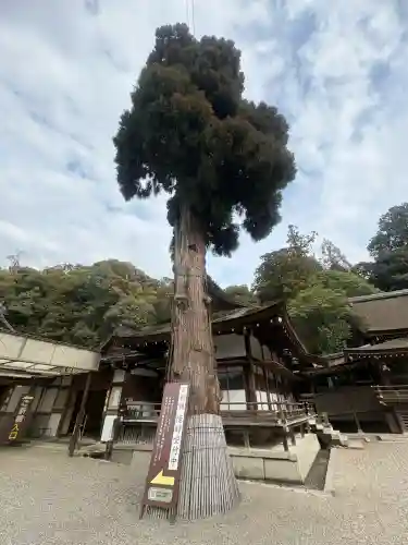 大神神社の{uncategorized: "未分類", other: "その他", undefined: "問題あり", building: "その他建物", grave: "お墓", sacred_gate: "鳥居", guardian: "狛犬", statue: "像", buddha: "仏像", history: "歴史", nature: "自然", garden: "庭園", animal: "動物", pagoda: "塔", temizu: "手水舎", mountain_gate: "山門・神門", sanctuary: "本殿・本堂", subordinate: "末社・摂社", art: "芸術", scenery: "景色", jizo: "地蔵", ema: "絵馬", goshuin: "御朱印", omikuji: "おみくじ", items: "授与品その他", amulet: "お守り", goshuincho: "御朱印帳", eats: "食事", festival: "お祭り", votive_dance: "神楽", shichigosan: "七五三参", wedding: "結婚式", experience: "体験その他", initially: "初詣", around: "周辺", anti_infection: "感染症対策"}