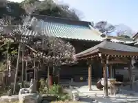 青蓮寺の本殿・本堂