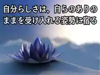 木舟山 順教寺(広島県)