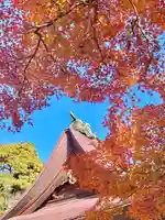 蚊里田八幡宮(長野県)