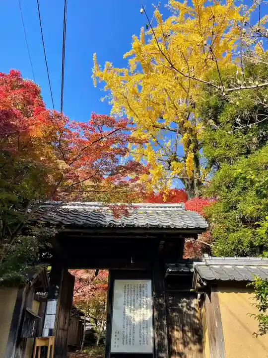 蓮華寺(洛北蓮華寺)の山門・神門