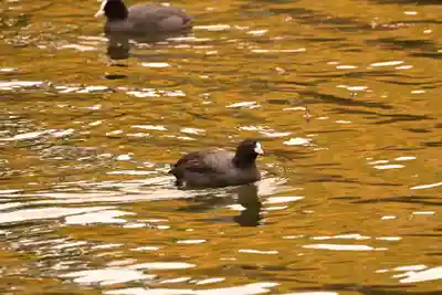大覚寺(京都府)