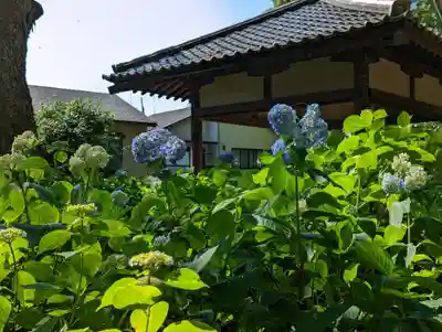 藤森神社(京都府)