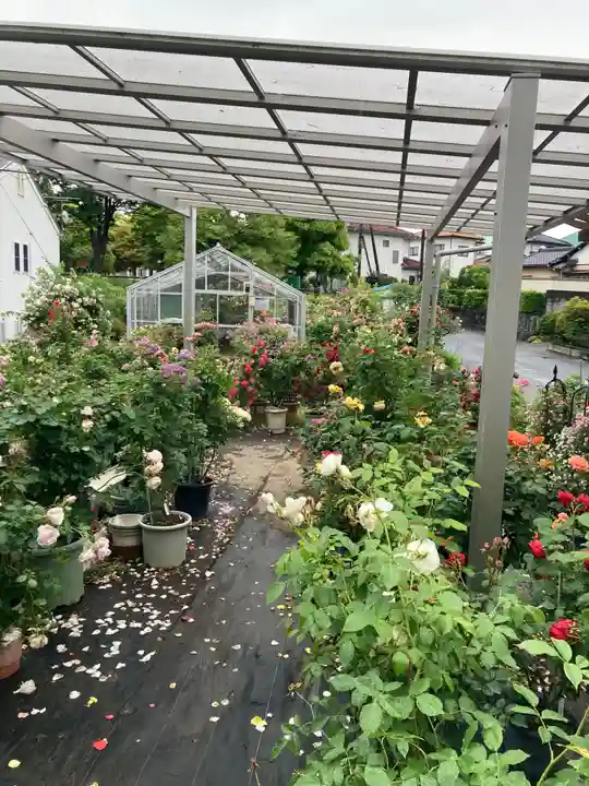 艫神社(茨城県)