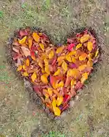 伊達神社(北海道)