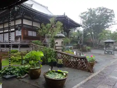 妙蓮寺の庭園