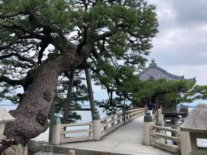 満月寺(浮御堂)のその他建物