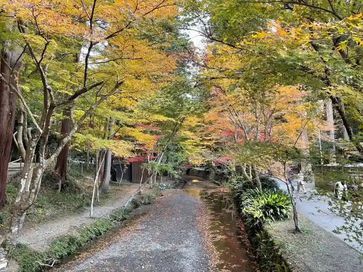 小國神社(静岡県)