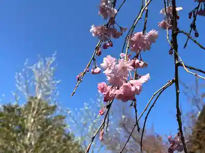 浄土院(京都府)