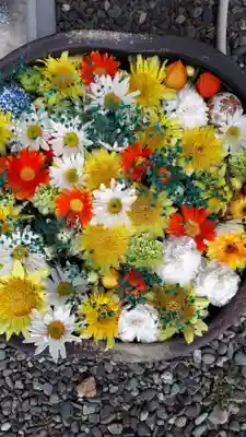 瑞玄寺の手水舎