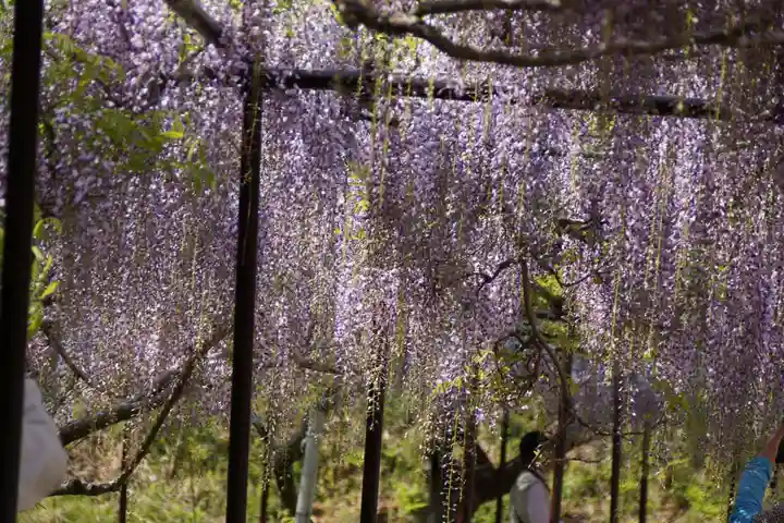 天台宗 五大山 白毫寺(兵庫県)
