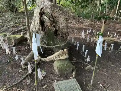 六所神社の{uncategorized: "未分類", other: "その他", undefined: "問題あり", building: "その他建物", grave: "お墓", sacred_gate: "鳥居", guardian: "狛犬", statue: "像", buddha: "仏像", history: "歴史", nature: "自然", garden: "庭園", animal: "動物", pagoda: "塔", temizu: "手水舎", mountain_gate: "山門・神門", sanctuary: "本殿・本堂", subordinate: "末社・摂社", art: "芸術", scenery: "景色", jizo: "地蔵", ema: "絵馬", goshuin: "御朱印", omikuji: "おみくじ", items: "授与品その他", amulet: "お守り", goshuincho: "御朱印帳", eats: "食事", festival: "お祭り", votive_dance: "神楽", shichigosan: "七五三参", wedding: "結婚式", experience: "体験その他", initially: "初詣", around: "周辺", anti_infection: "感染症対策"}