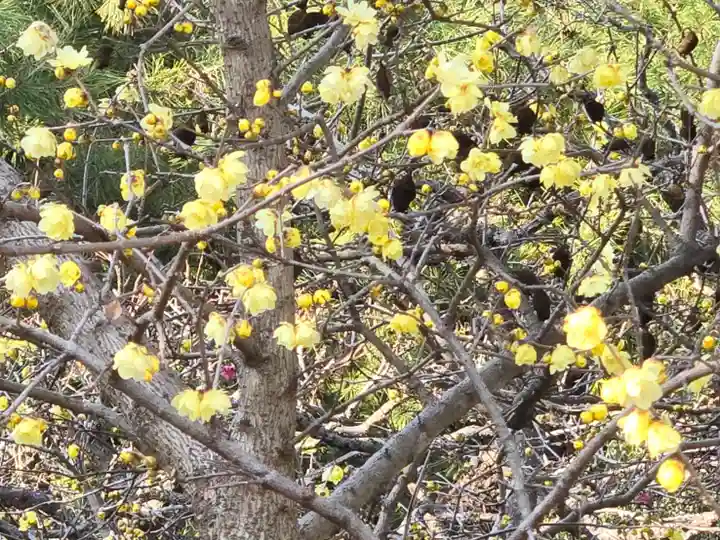 石光寺(奈良県)
