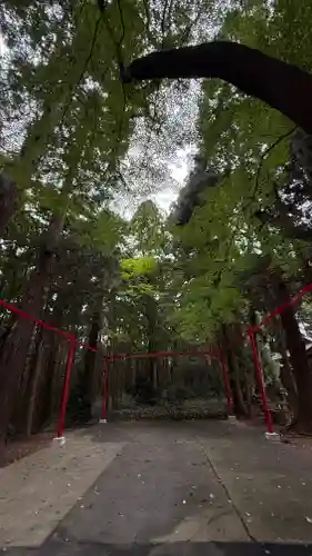 陸奥総社宮(宮城県)