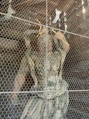 大宝寺(愛媛県)