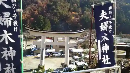 夫婦木神社姫の宮の鳥居