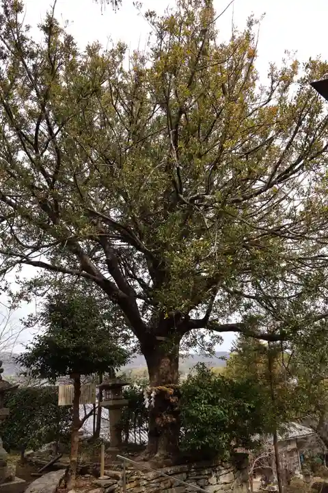 伊太祁曽神社(和歌山県)