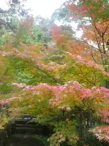 鶴岡八幡宮の自然