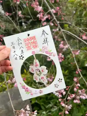 阿佐ヶ谷神明宮の御朱印