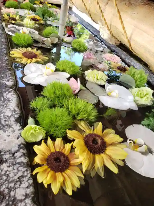 鳩森八幡神社の手水舎