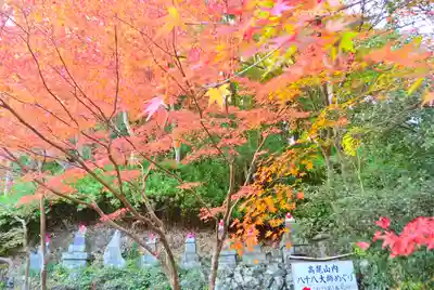 高尾山薬王院(東京都)