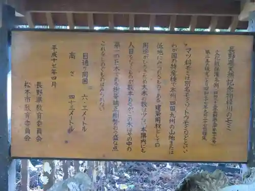 大宮熱田神社の歴史