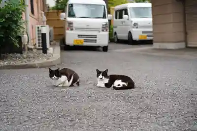 白金氷川神社(東京都)