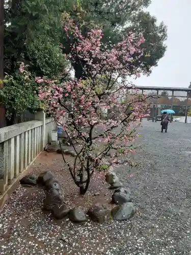 伊勢山皇大神宮(神奈川県)