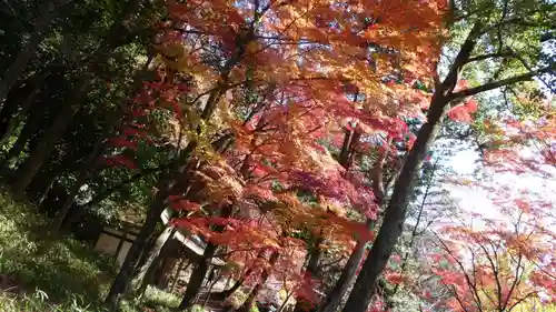 定光寺(愛知県)