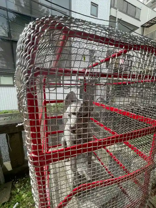 二ツ谷稲荷神社(神奈川県)