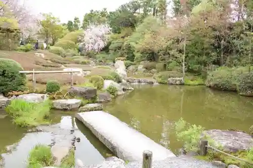 退蔵院の庭園