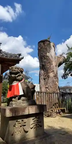 須賀神社(大阪府)