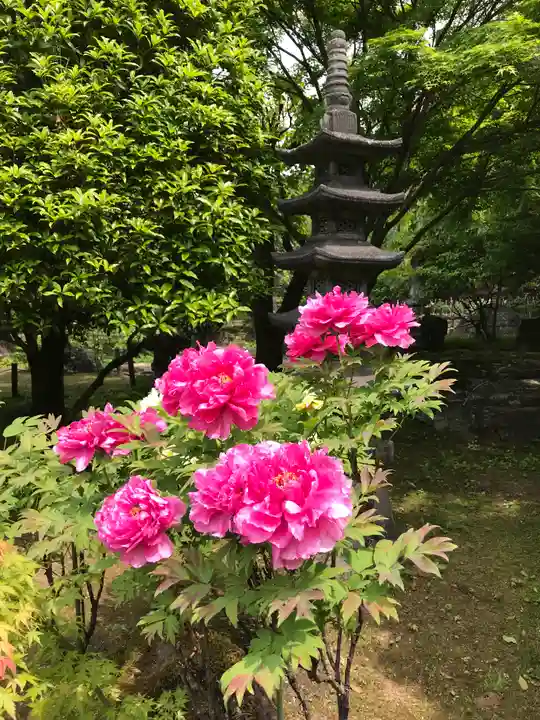 長泉院(埼玉県)