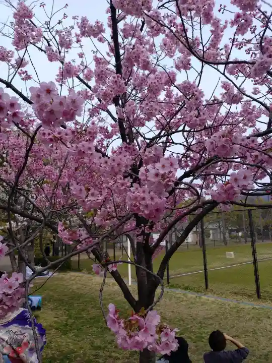 平安神宮の{uncategorized: "未分類", other: "その他", undefined: "問題あり", building: "その他建物", grave: "お墓", sacred_gate: "鳥居", guardian: "狛犬", statue: "像", buddha: "仏像", history: "歴史", nature: "自然", garden: "庭園", animal: "動物", pagoda: "塔", temizu: "手水舎", mountain_gate: "山門・神門", sanctuary: "本殿・本堂", subordinate: "末社・摂社", art: "芸術", scenery: "景色", jizo: "地蔵", ema: "絵馬", goshuin: "御朱印", omikuji: "おみくじ", items: "授与品その他", amulet: "お守り", goshuincho: "御朱印帳", eats: "食事", festival: "お祭り", votive_dance: "神楽", shichigosan: "七五三参", wedding: "結婚式", experience: "体験その他", initially: "初詣", around: "周辺", anti_infection: "感染症対策"}