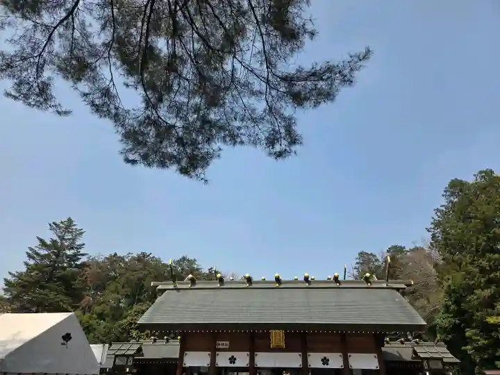 櫻木神社の{uncategorized: "未分類", other: "その他", undefined: "問題あり", building: "その他建物", grave: "お墓", sacred_gate: "鳥居", guardian: "狛犬", statue: "像", buddha: "仏像", history: "歴史", nature: "自然", garden: "庭園", animal: "動物", pagoda: "塔", temizu: "手水舎", mountain_gate: "山門・神門", sanctuary: "本殿・本堂", subordinate: "末社・摂社", art: "芸術", scenery: "景色", jizo: "地蔵", ema: "絵馬", goshuin: "御朱印", omikuji: "おみくじ", items: "授与品その他", amulet: "お守り", goshuincho: "御朱印帳", eats: "食事", festival: "お祭り", votive_dance: "神楽", shichigosan: "七五三参", wedding: "結婚式", experience: "体験その他", initially: "初詣", around: "周辺", anti_infection: "感染症対策"}