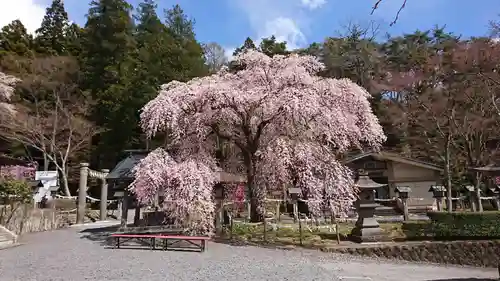 南湖神社の自然