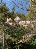彌都加伎神社の自然