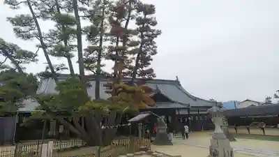 大願寺のその他建物