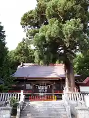 鼬幣稲荷神社の本殿