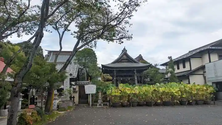 円林寺(東京都)