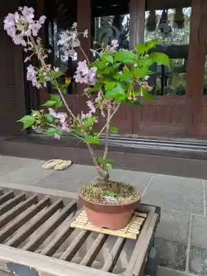 江東天祖神社(東京都)