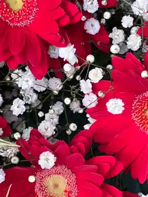 上尾御嶽神社の手水舎