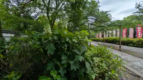 本法寺(京都府)