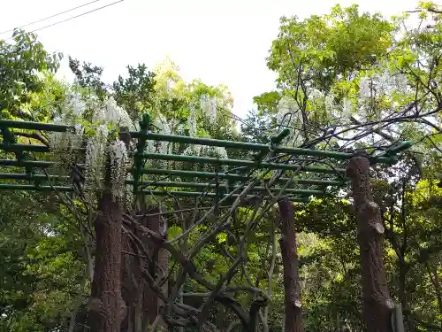 阿智神社(岡山県)